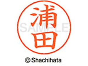 y񂹁zV`n^ l[ypl[ Vo[  Yc X-GPS-0406