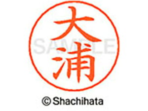 y񂹁zV`n^ l[ypl[ Vo[  Y X-GPS-0460