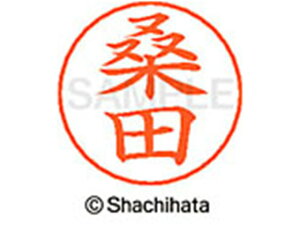 y񂹁zV`n^ l[ypl[ Vo[  Kc X-GPS-1011