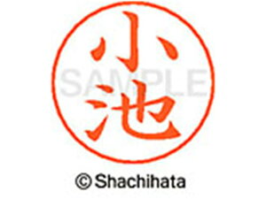 y񂹁zV`n^ l[ypl[ Vo[  r X-GPS-1034