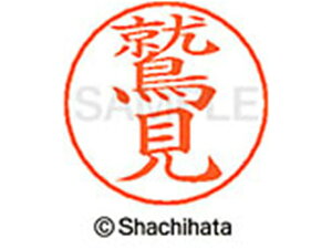 y񂹁zV`n^ l[ypl[ Vo[  h X-GPS-1334