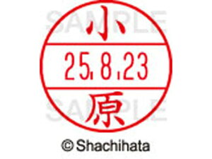 y񂹁zV`n^ f[^[l[EX12}X^[   XGL-12M-0581