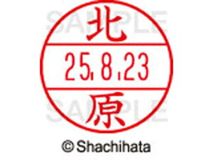 �y�����񂹁z�V���`�n�^ �f�[�^�[�l�[��EX12���}�X�^�[�� ���� �k�� XGL-12M-0909