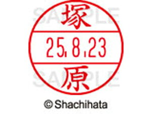 �y�����񂹁z�V���`�n�^ �f�[�^�[�l�[��EX12���}�X�^�[������ �ˌ� XGL-12M-1455