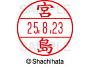 y񂹁zV`n^ f[^[l[EX12}X^[ { XGL-12M-1879