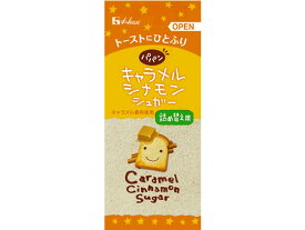 ハウス パパン キャラメルシナモンシュガー 詰め替え用 24g