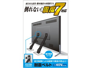 y񂹁zGR ϐkxg lWǂVESA ~40Vp 2{ TS-005N