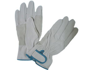 y񂹁zYf |[NWC250ĕt L 8637