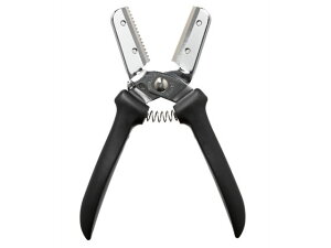 y񂹁zzKc쏊 V^ IV() ֐n1t