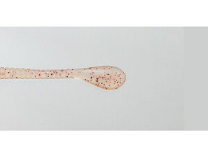 y񂹁zissei CY Xpe 2 #040 ILA~O[