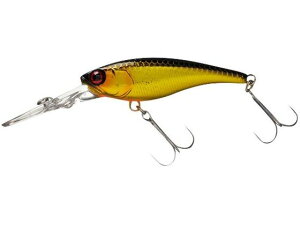 y񂹁zWbJ JK \EVbh62DDR-SP #HLLN