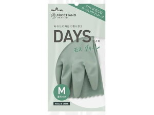 y񂹁zV[O[u iCXnh DAYS M XO[