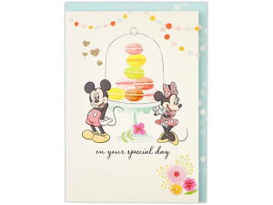 {z[}[N o[Xf[IS[J[h fBYj[}J^[2