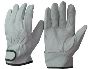 y񂹁zӂ ؊v⋭Aet}WbN LL R-24-LL