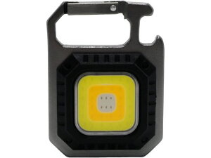 �������� LED�c�[�����C�g SK-TL450CHSL