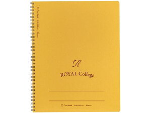 LNgE CJbW A4 r 7mmr35sʂr 62 PT101