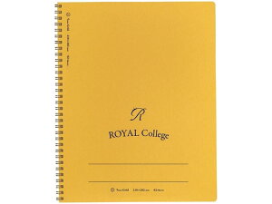 LNgE CJbW A4 r 5mmr 62 PT201