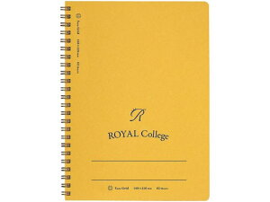 LNgE CJbW A5 r 5mmr 62 PT203