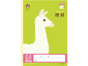 LNgE JbW݂Ȃ̊wK A4  5mmR 24