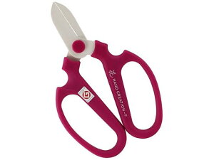 y񂹁z⌹ nhNG[VF170 oCIbg #50142