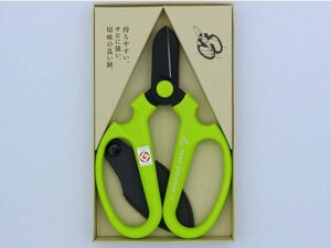 y񂹁z⌹ HNG[VF170n LO[ #62142