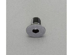 y񂹁zGXR ZptM{g XeX F 4{ M6×20mm