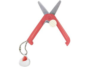 Nc gт͂ 啟 SS123RD