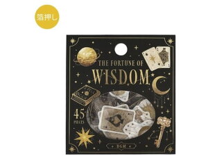 y񂹁zBGM t[NV[ tH[` EBY_ BS-FG163