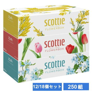 eBbV XRbeB 250g×36 ~ t[{bNX 3Ŗ5 e  eBV? {bNXeBbV eBbVy[p[ {NVA 36(3×12)/54(3×18) Zb