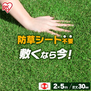 lH 2m×5m ACXI[} hV[ǧ^ Ő [ 10 ŏ30mm RP-3025 IP-3025 lHŐ  lHŕ }bg Ő A x_ ybg h HŃ}bg Ő}bg 200cm×500cm