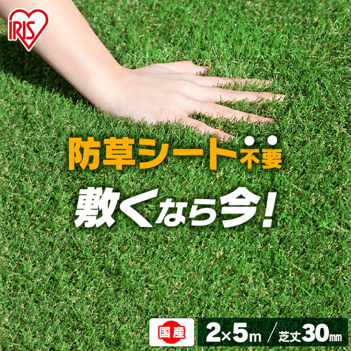楽天市場 人工芝 ロール 2m 5m 芝丈30mm Rp 3025送料無料 アイリスオーヤマ 防草人工芝 防草 芝生 リアル人工芝 雑草対策 雑草防止 雑草 芝 ベランダ 国産 ガーデニング バルコニー ベランダ 0cm 500cm 芝丈3cm ロールタイプ 園芸 園芸用品 アイリスソーコー