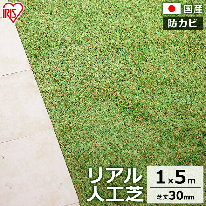 楽天市場】人工芝 ロール 1m×5m 芝丈30mm IP-3015送料無料 アイリス 