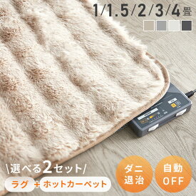 【5％OFFクーポン★12/3 20:00-12/11 9:59迄】ホットカーペット 2畳 1畳 1.5畳 3畳 4畳 ラグ セット 省エネ 本体 TEKNOS 電気カーペット コンパクト ホットマット 電気マット 省エネ 正方形 切り忘れ自動OFF ダニ退治機能 簡単 温度調節 コンパクト収納 グレー【B】