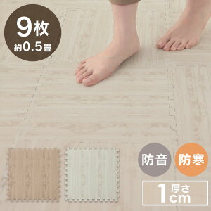 ���O �J�[�y�b�g �V���v�� �q������ �y9���Z�b�g�z�W���C���g�}�b�g �ؖڒ� JTM-32�iWOD) �z���C�g ���J�u���E���������� �A���}�b�g �W���C���g�� �����h�~ �f�M �t���[�����O �t���A�}�b�g 