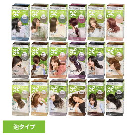 ヘアカラー 髪染め 白髪染め リーゼ 泡カラー ヘアカラー 髪染め 白髪染め 黒髪染め ブリーチ 泡 セルフカラー 黒 ナチュラルブラック Liese リーゼプリティア 花王 髪色もどし ブラック ブラウン