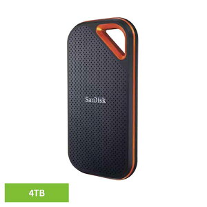 SanDisk GNXg[v |[^uSSD 4TB SDSSDE81-4T00-J25|[^uSSD 4TB sandisk TfBXN RpNg e f[^ۑ Be TfBXN