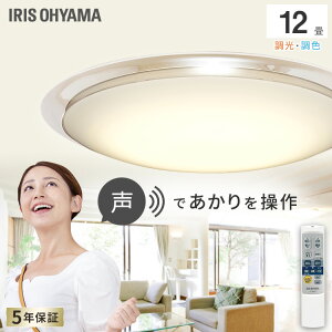 LED�V�[�����O���C�g 6.1 �������� �N���A�t���[�� 12�� ���F CL12DL-6.1CFUV�V�[�����O���C�g �V�[�����O ���C�g ���^���T�[�L�b�g�V���[�Y LED ���� ���F ���^���T�[�L�b�g �d�C �ߓd ���� ���ő�