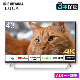 Android4Kチューナー内蔵液晶テレビ 43V型 43XDA20 ブラック送料無料 テレビ TV 液晶テレビ 4K 43V型 チューナー内蔵 Wチューナー 地デジ BS CS 簡単操作 音声検索 AIオート機能 高画質 高音質 アイリスオーヤマ