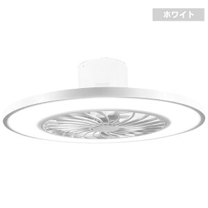 �V�[�����O�t�@�����C�g 10�� led �������F �����R������ �y�ʃV�[�����O���C�g ���C�g LED �t�@���t���Ɩ� ������� �k�� 10���p �����R���t�� �ȒP�ݒu HLCF-550