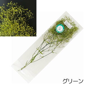 ^P_ ݑ  hCt[ Y zCg O[ GWFO[ TTC