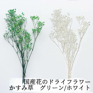かすみ草 ドライフラワー インテリアの人気商品 通販 価格比較 価格 Com