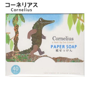 y݌Ɍz \  XC~[ R[lAX y[p[\[v gуnh\[vI IjylR|XOKz