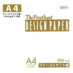 SAKAEeNjJy[p[ t@[XgPg A4Ki186g 10 F110-A4P