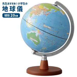 CC 搶IXX w̒nV s^Cv a20cm nVXP[t OYV11