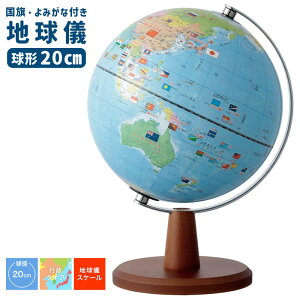 CC ݂ȕt nV a 20cm nV XP[t OYV221