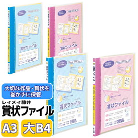 レイメイ藤井 賞状ファイル A3 LSB101 大B4 LSB80 スタディメイト ブルー ピンク