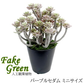 ササガワ 人工観葉植物 パープルセダム ミニサイズ 32-8700 光触媒 消臭 防菌 抗菌 防汚 マイナスイオンシャワー ホルムアルデヒド低減 オフィス 美容室 クリニック ホテル 飲食店 モデルルーム ショールーム 自宅 卓上