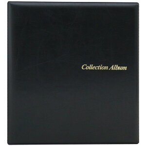 e[W[ RNVAo \ |Pbgʔ oC_[ 4O \ CA-31