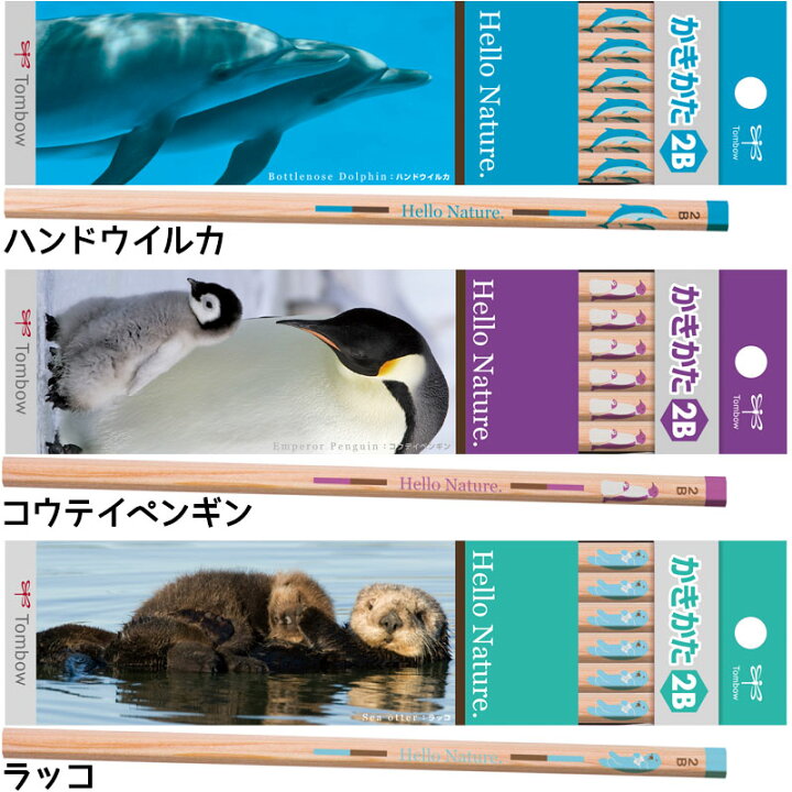 楽天市場 トンボ鉛筆 ハローネイチャー かきかた鉛筆 六角軸 硬度b 2b 12本入り 全6種類 レーザー名入れ 6ダースまでネコポスもok 名入れ 鉛筆 2b 名前入り ネーム入り 卒園 入学 記念品 小学生 木軸 イルカ ラッコ ペンギン レッサーパンダ L C 文具の
