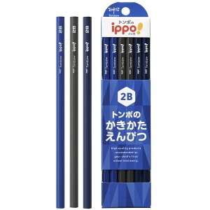 yȂiz g{M Cb|I ippo! M Zp B 2B 12{ M ҂ y6_[X܂ŃlR|XOKz